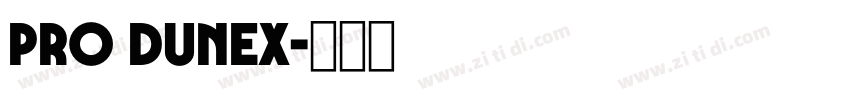 Pro Dunex字体转换